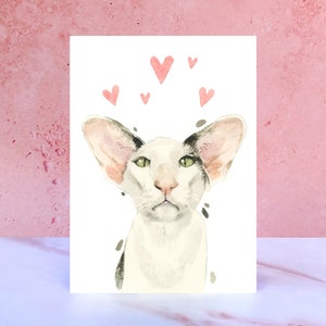 Tarjeta Oriental de Lamidos y Besos de Pelo Corto para San Valentín, Aniversarios y del Gato
