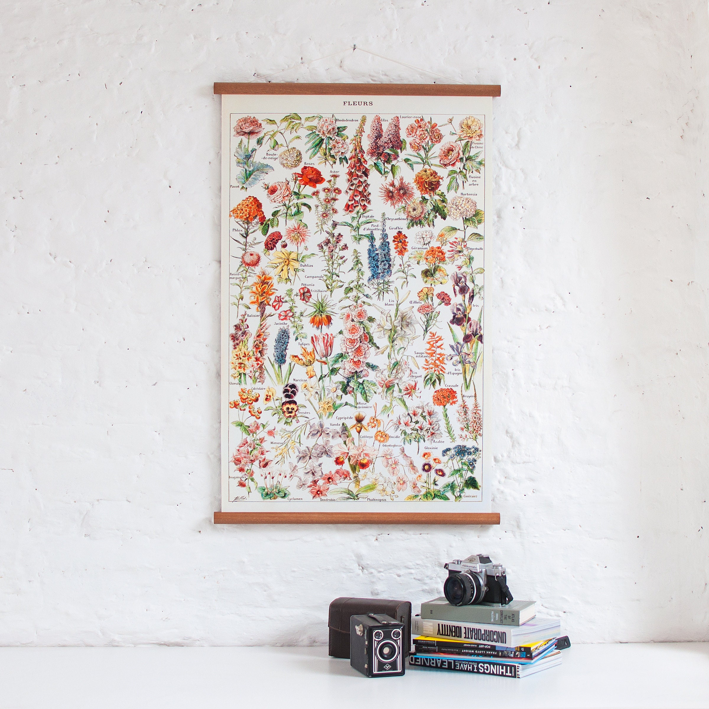 Flowers Vintage Pull Down Wall Chart - Etsy