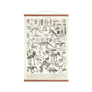 Dinosaures - Tableau mural vintage déroulant Fossiles