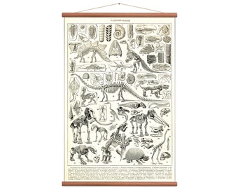 Dinosaurs - Fossils Vintage pull down wall chart