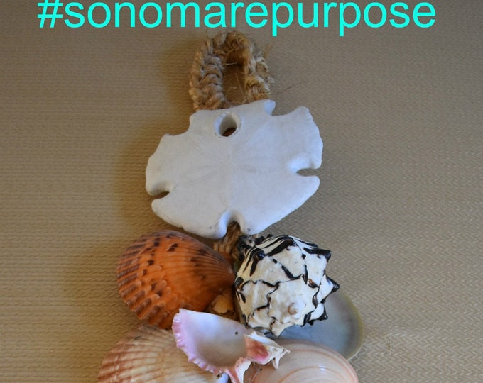Vitnage Sea Shell Wall Hanging Scallop Shell Abolone Shell Sand Dollar,Vintage 1970 wall hanging,1970's decor,Sea Shell Decorations,Seashell