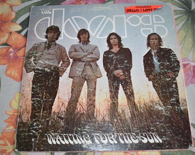 LP Album Vintage Record, Rock Record, Rock and Roll Vinyl