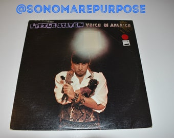 Little Steven And The Disciples Voice of America Stereo 1984 lp Vintage Rare PROMO Album Record, Rock and Roll Vinyl Record,Bruce Springteen