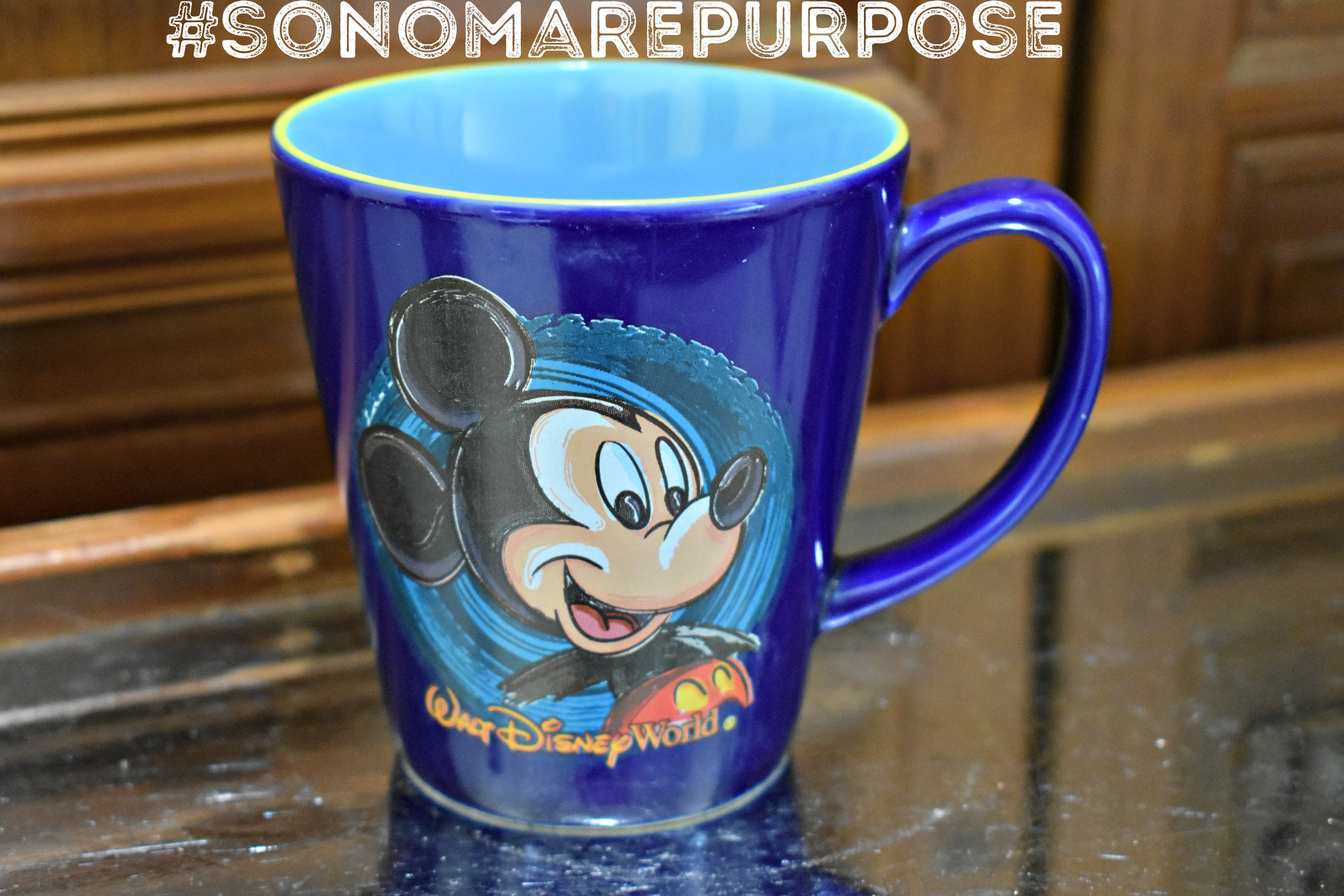 Walt Disney World Custom Mug