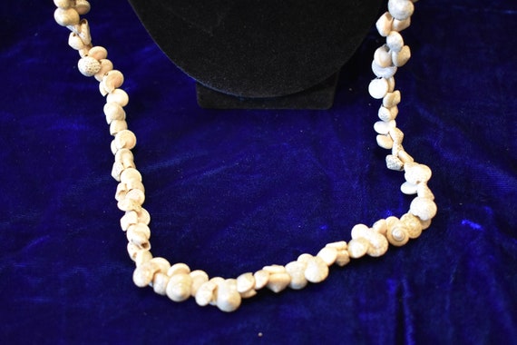 Vintage Polynesian Sea Shell 36" Necklace, Vintag… - image 3