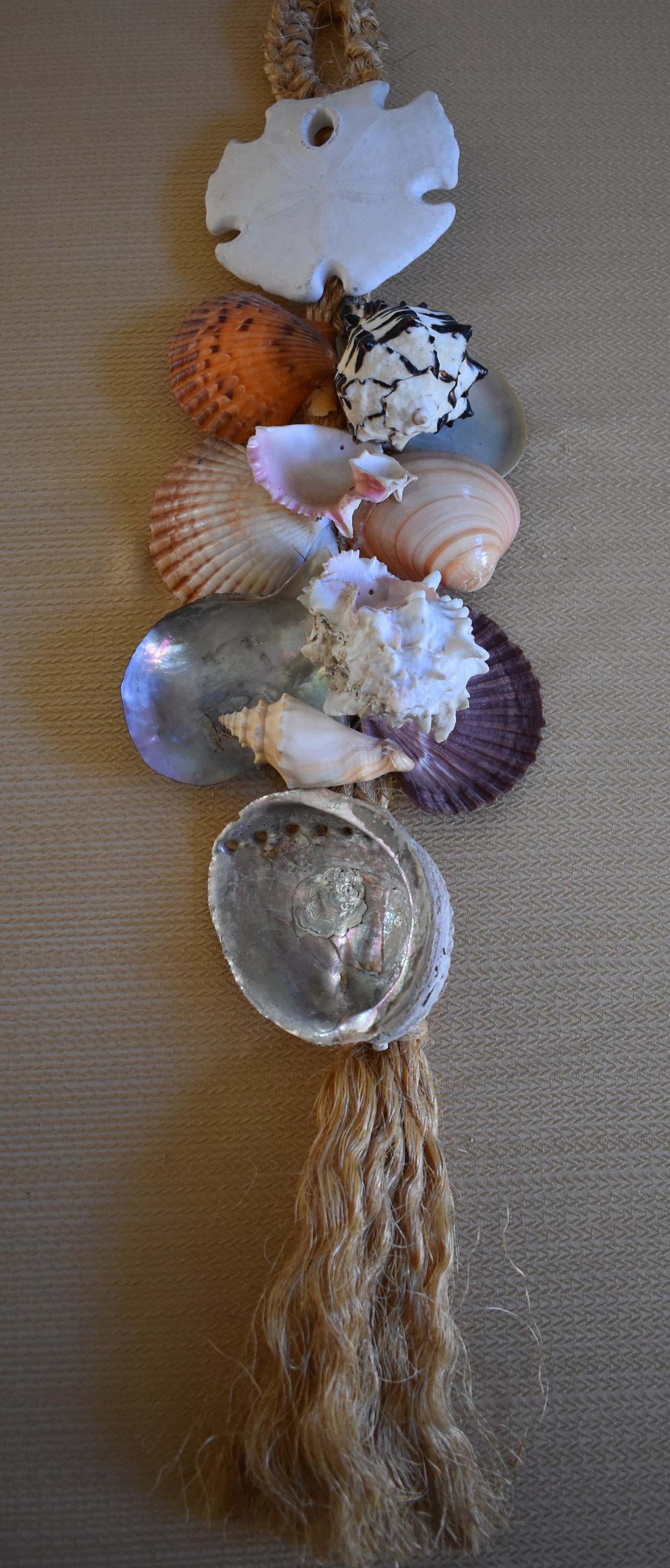 Vitnage Sea Shell Wall Hanging Scallop Shell Abolone Shell Sand  Dollar,Vintage 1970 wall hanging,1970's decor,Sea Shell Decorations,Seashell