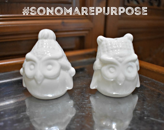 Vintage White Owls Bird Salt and Pepper Shakers, Vintage Owl Decor, Mid Century, Owl Decor, Exotic Bird Decor, Owls, Woodland Creatures, Owl