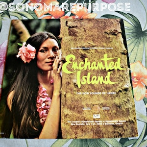 Enchanted Island 1973 Vintage Vinyl Record LP Album The Longines Symphonette, RARE Vintage Record,Vintage Hawaii,Hawaiian, Hawaii, Pineapple