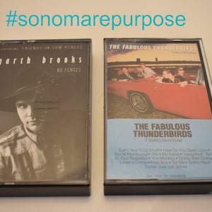 Garth Brooks / Fabulous Thunderbirds Cassette Tapes, Tested Lot of 2 Vintage Cassette Tapes, Rock Cassette, Rock and Roll Cassette Tape