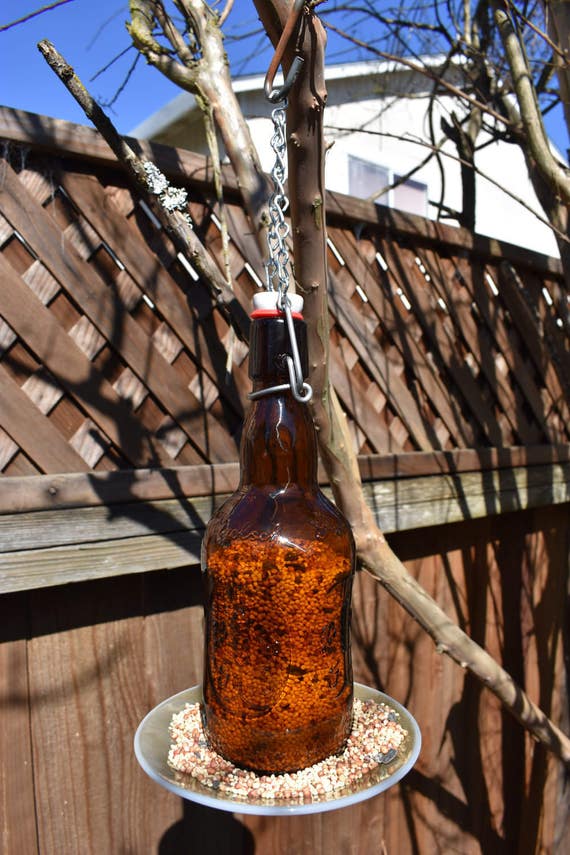 Beer Bottle Bird Feeder Brown Beer Bottle Bird Feeder Glass Etsy
