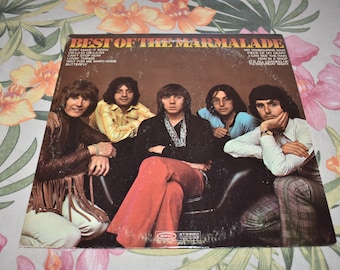 Vintage PROMO The Marmalade "Best Of" Record LP Vinyl BN 26553 Epic Records, Vinyl Record Album, The Marmalade Music