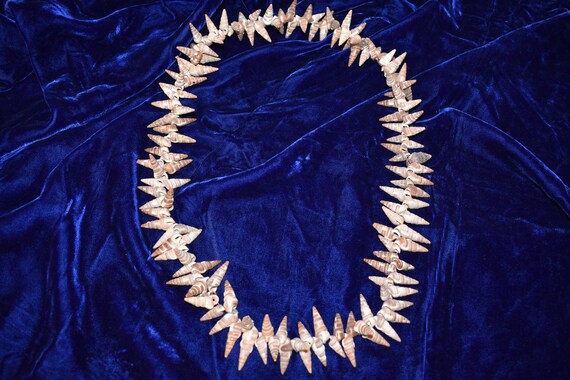Vintage Polynesian White Brown Sea Shell Necklace… - image 5