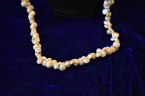 Vintage Polynesian Sea Shell 36" Necklace, Vintag… - image 2