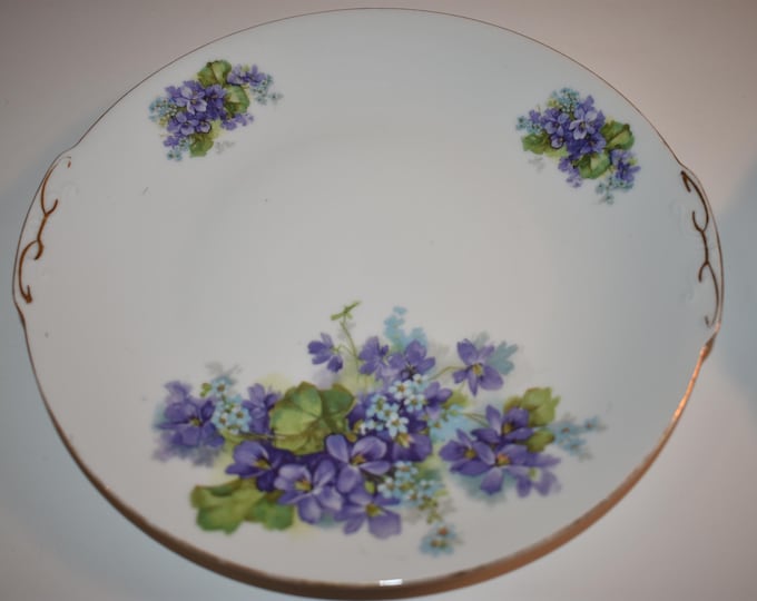 Vintage Lot of 2 Victoria Violet Flower Style Czechoslovakia China Collectible Plates, Collectible Plates, Hand Painted China Plate, Plate