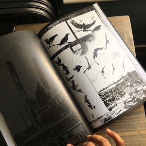 May include: Open book with monochrome illustrations. One page depicts a cityscape with tall buildings. The other page shows crows on a wire and in flight, with text reading "It's always raining in this city" and "We birds remain in place".