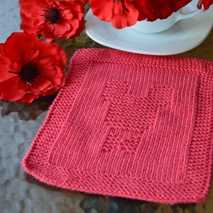 PATTERN knit cloth only in ENGLISH , written instructions with diagram.