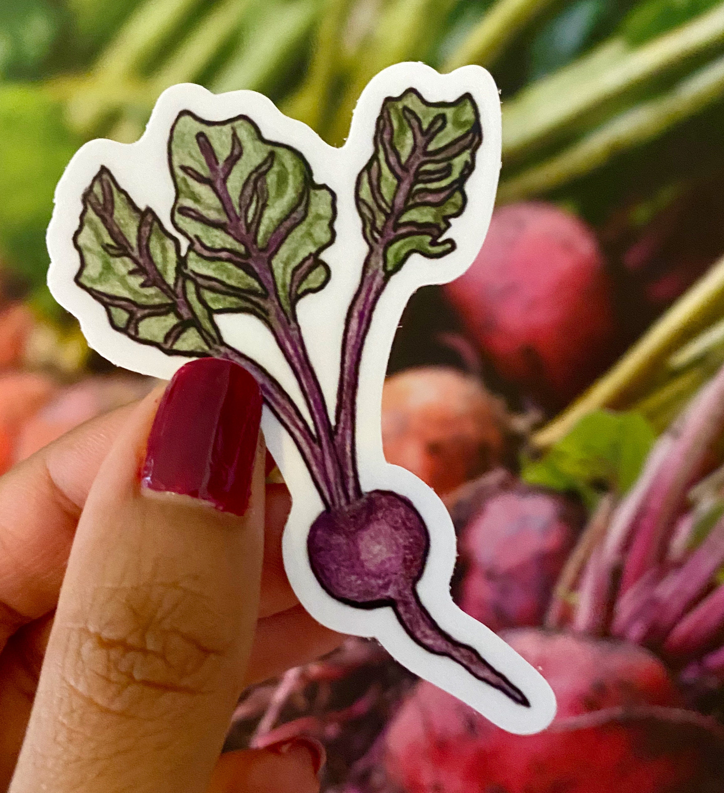 Beet Sticker - Vinyl Sticker - Die Cut Sticker - Veggie Sticker ...