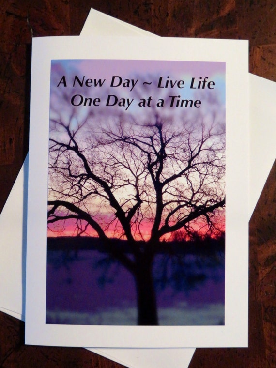 Lot of 8 Eco Friendly Tree Free Greetings Note Cards /& Envelopes Native American