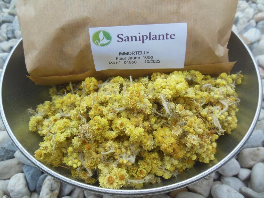 Immortelle Fleur Jaune En Vrac Sachet De 100gr Pour Tisane Saniplante