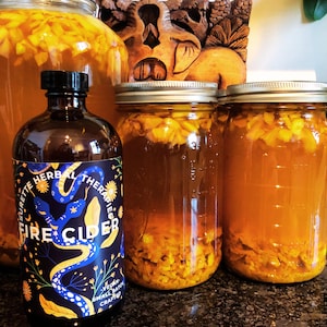 Fire Cider - 4oz