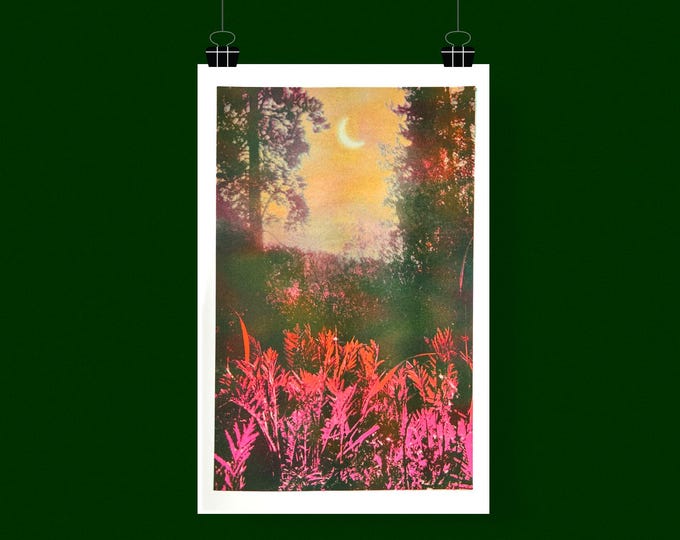 Twilight Forest 11"x17" Risograph Print