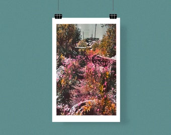 Pode incluir: Uma fotografia de um caminho através de um jardim exuberante e coberto de vegetação. O caminho é ladeado por flores cor-de-rosa e folhagem verde. O fundo está desfocado, criando um efeito de sonho.