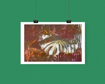 Monstera Riso Print