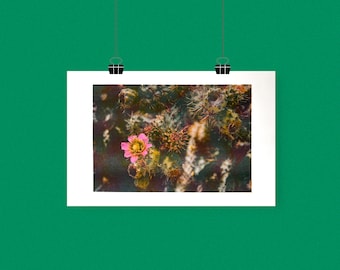Desert Flower Risograph Print