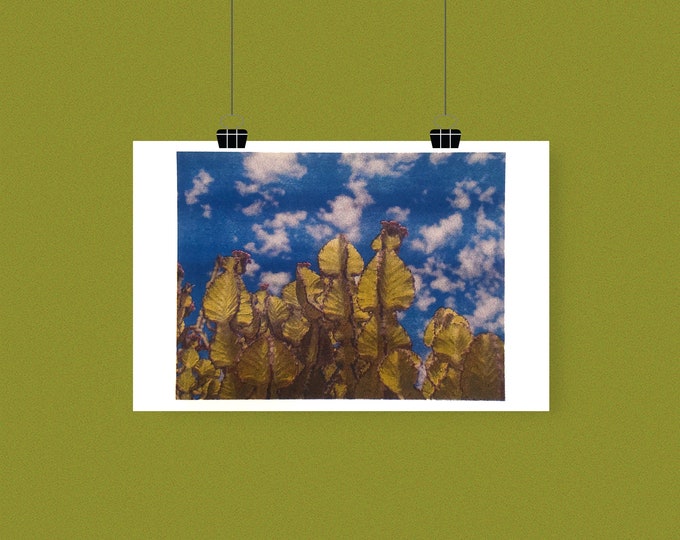 Cactus Garden Riso Print