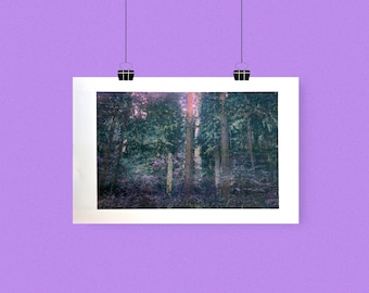 Forbidden Forest Risograph Print