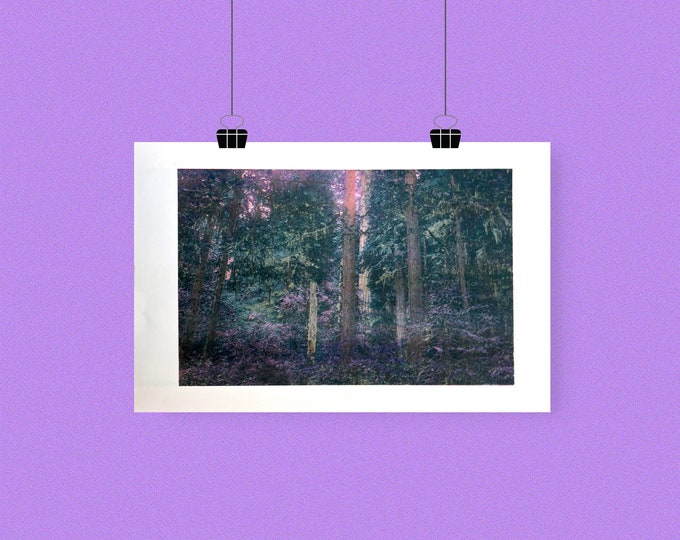 Forbidden Forest Risograph Print