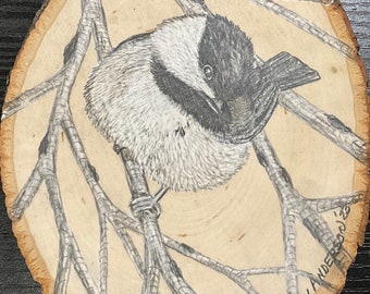 40 Chickadee 4.5” x 6.5”