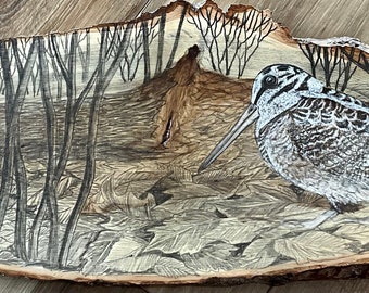 225 Woodcock in Brush 24” x 7”