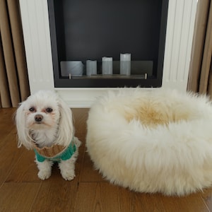 Real Sheepskin XXL Dog Bed, fur cozy soft bed, Premium Quality sheepskin for dogs, cat, schaffell Hygge