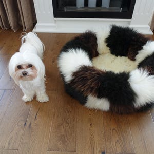 Real Sheepskin XXL Dog Bed, fur cozy soft bed, Premium Quality sheepskin for dogs, cat, schaffell Hygge 3 colour brown,white,black