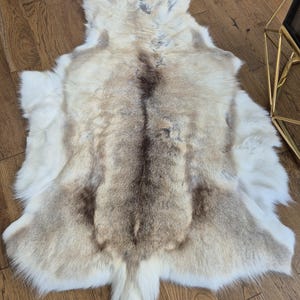 Pode incluir: Um tapete de pele animal natural com uma textura espessa e felpuda, apresentando um gradiente de cor que transita de bordas branco brilhante para uma faixa central bege suave e castanho escuro, com forma orgânica irregular e pelo denso.