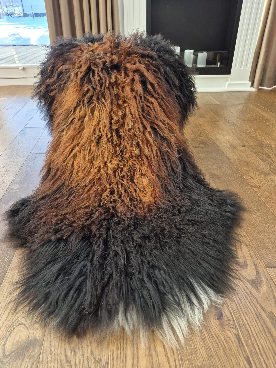 Natural Curly Sheepskin Rug, Single Pelt, Honey Decor - Etsy