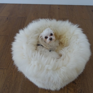 Real Sheepskin XXL Dog Bed, fur cozy soft bed, Premium Quality sheepskin for dogs, cat, schaffell Hygge