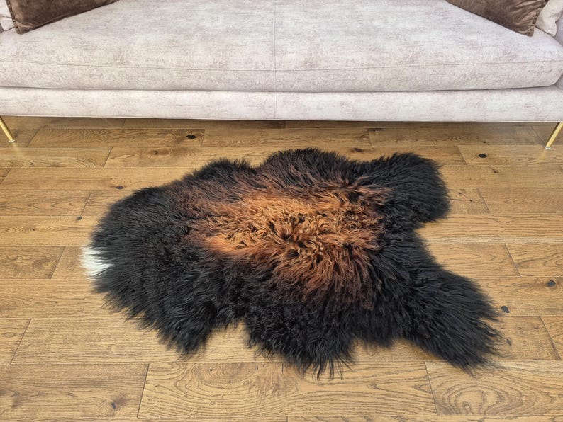 Natural Curly Sheepskin Rug, Single Pelt, Honey Decor - Etsy