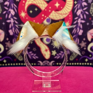 Gay Pride Bear Ears | LGBTQIA+ Pride