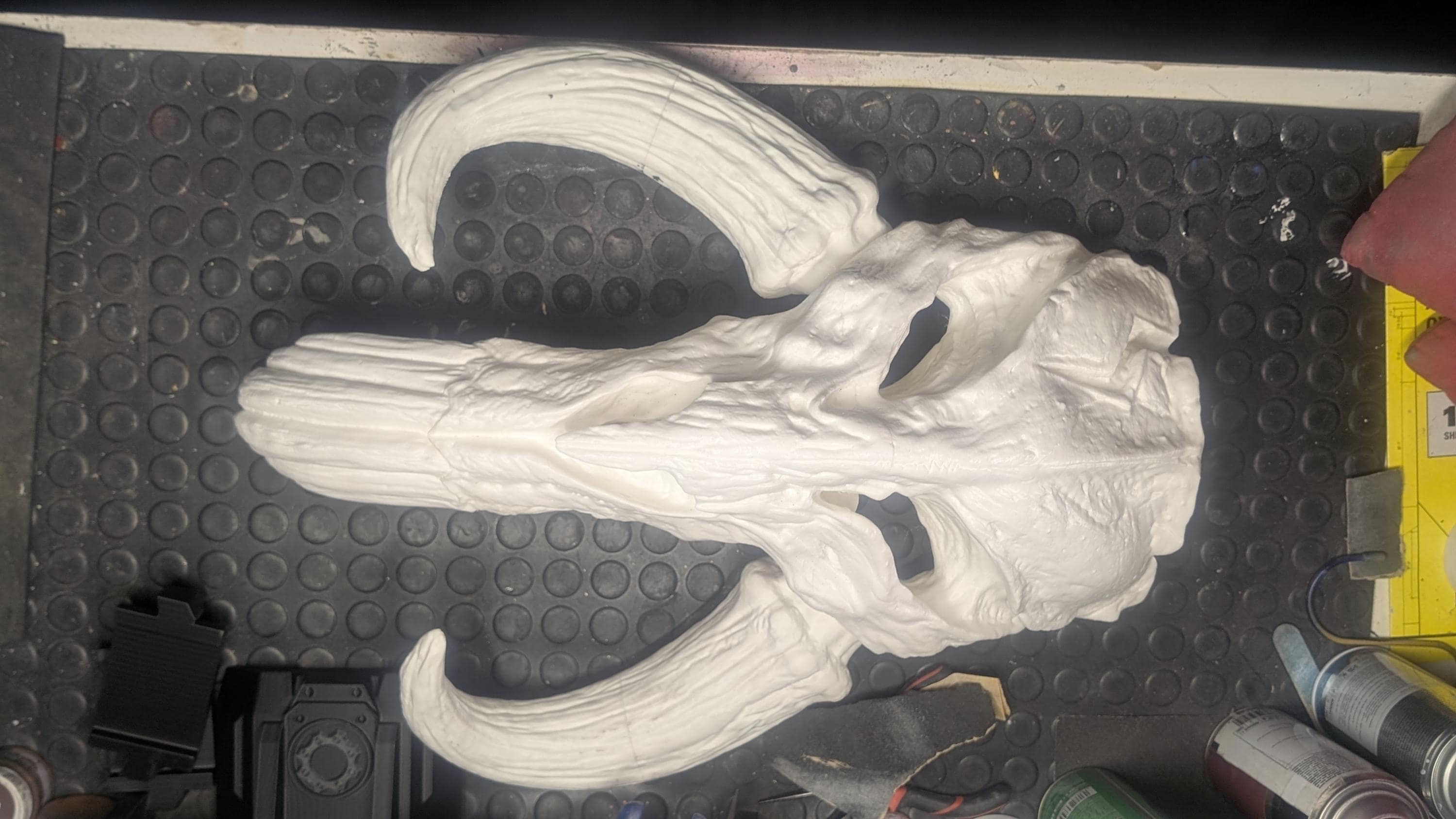 Mythosaur Skull Wall Mount | Star Wars Wall Display | Mandalorian