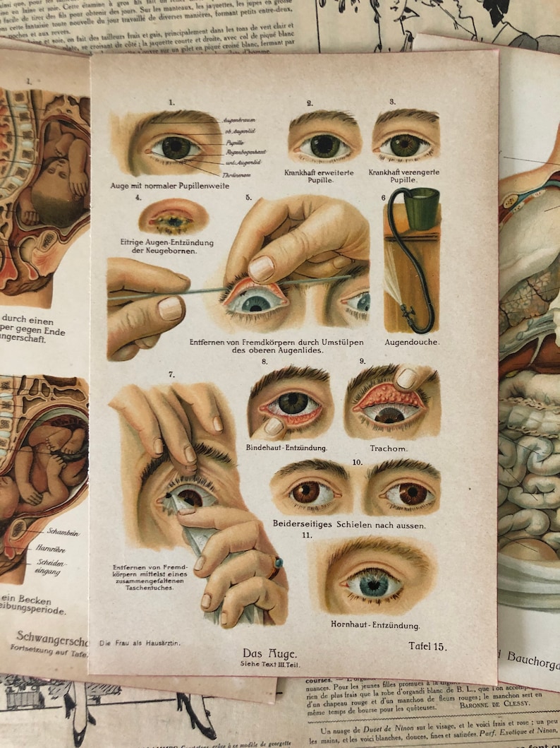 Vintage Medical Art Prints Set of 6 Medical Bookplates Human Etsy