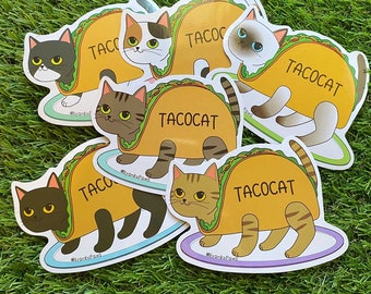 TACOCAT 6 color (Free shipping USA only)