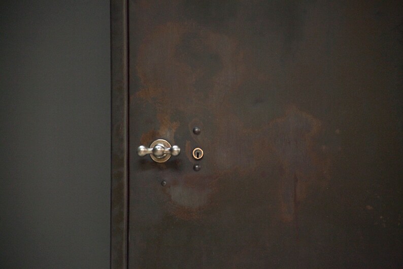 Customisable single door vintage industrial locker with brass T knob. image 4