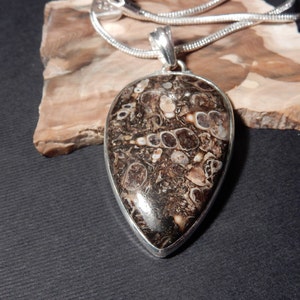 Turritella Agate Handmade Sterling Silver Pendant Chain Necklace Cabochon
