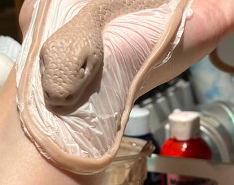Silikon Schlangenprothetik - SFX Make Up Medusa