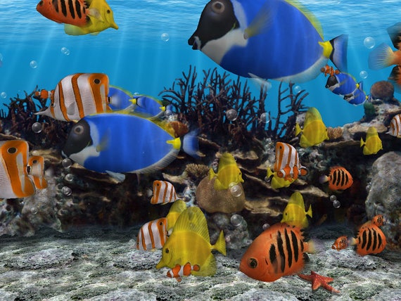 Sea Life Tile, Saltwater Fish, Aquarium, Aquatic Life, Ocean Life