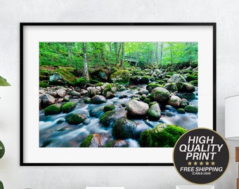 Nature Photography, Forest Wall Art, Forest Print, River, Mountain, Nature, Enchanted Forest, Fine Art Photography, Wall Art, Home Decor