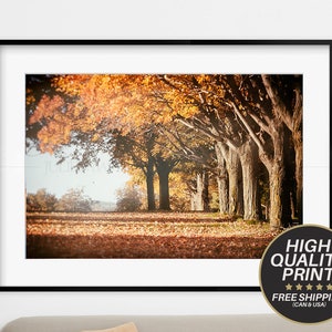 Home Decor Quebec Landscape Fine Art Photography Quebec Parc national du Bic Photo Bic National Park Photo Print Fine Art Photography