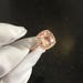 see more listings in the Morganite section